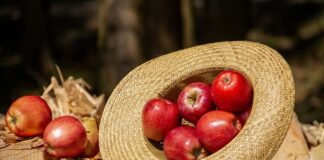 Ile kosztuje oryginalny kapelusz Panama? Ile kosztuje oryginalny kapelusz Panama?