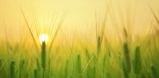 Jak wyglądać młodo w wieku 50 lat? Jak wyglądać młodo w wieku 50 lat?