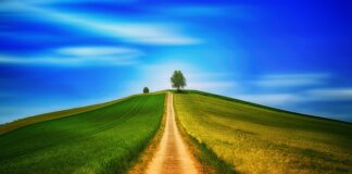 Czy chodzenie jest dobre na kolana? Czy chodzenie jest dobre na kolana?